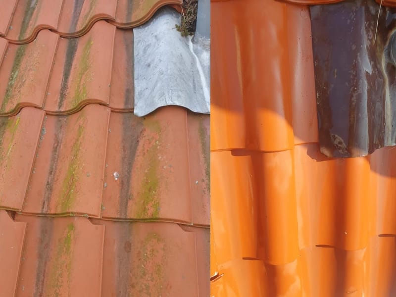 Dakpannen laten reinigen Dakpannen schoonmaken en coaten